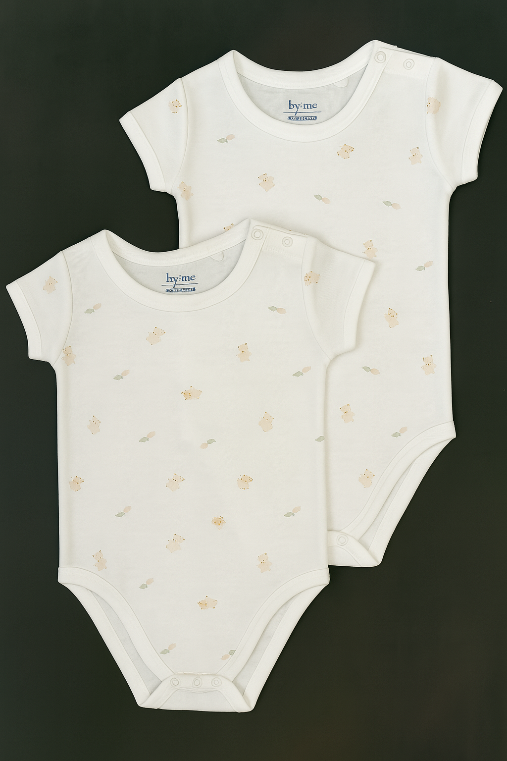 زیردکمه طرح خرگوش